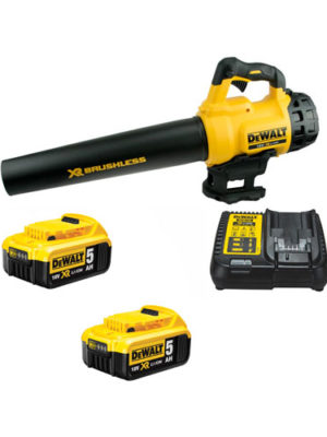 Máy thổi hơi Pin 18V (Sạc, 2pin*5Ah, Túi vải) DEWALT DCM562P2