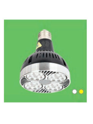 Bóng Chip Led Philips HUFA PAR 01 ( 35W )