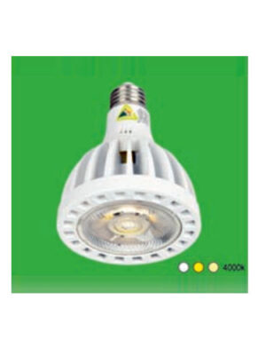 Bóng Chip Led Philips HUFA PAR 02 ( 30W )